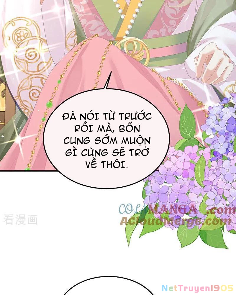 Hậu Cung Của Nữ Đế Chapter 477 - 8