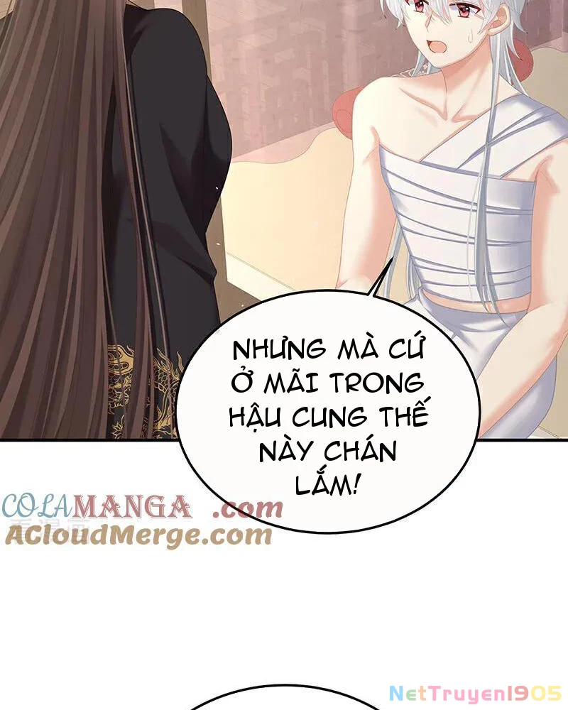 Hậu Cung Của Nữ Đế Chapter 477 - 27