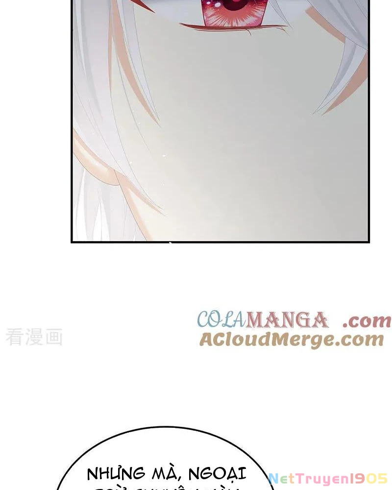 Hậu Cung Của Nữ Đế Chapter 481 - 11