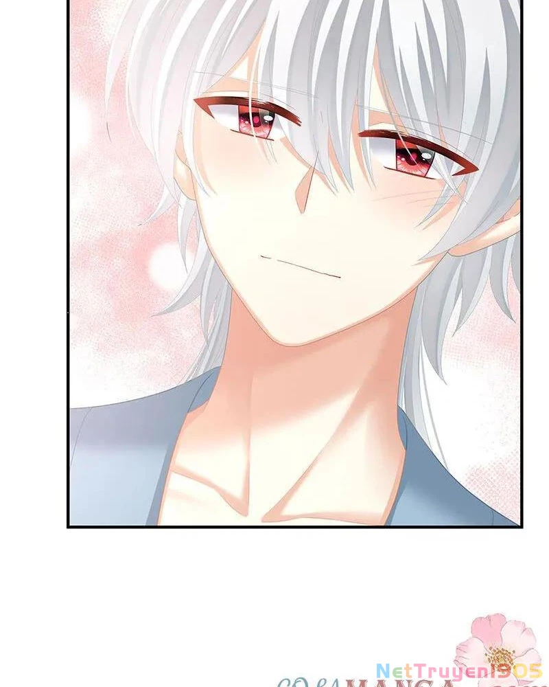 Hậu Cung Của Nữ Đế Chapter 481 - 14