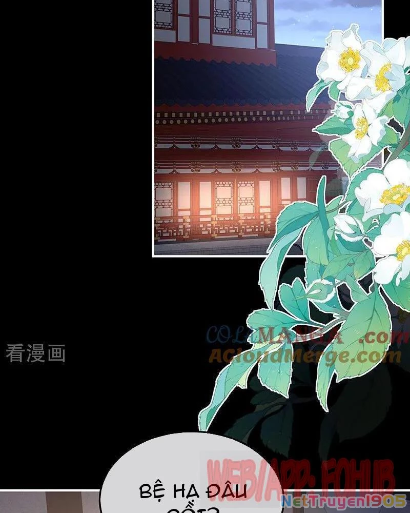 Hậu Cung Của Nữ Đế Chapter 481 - 37