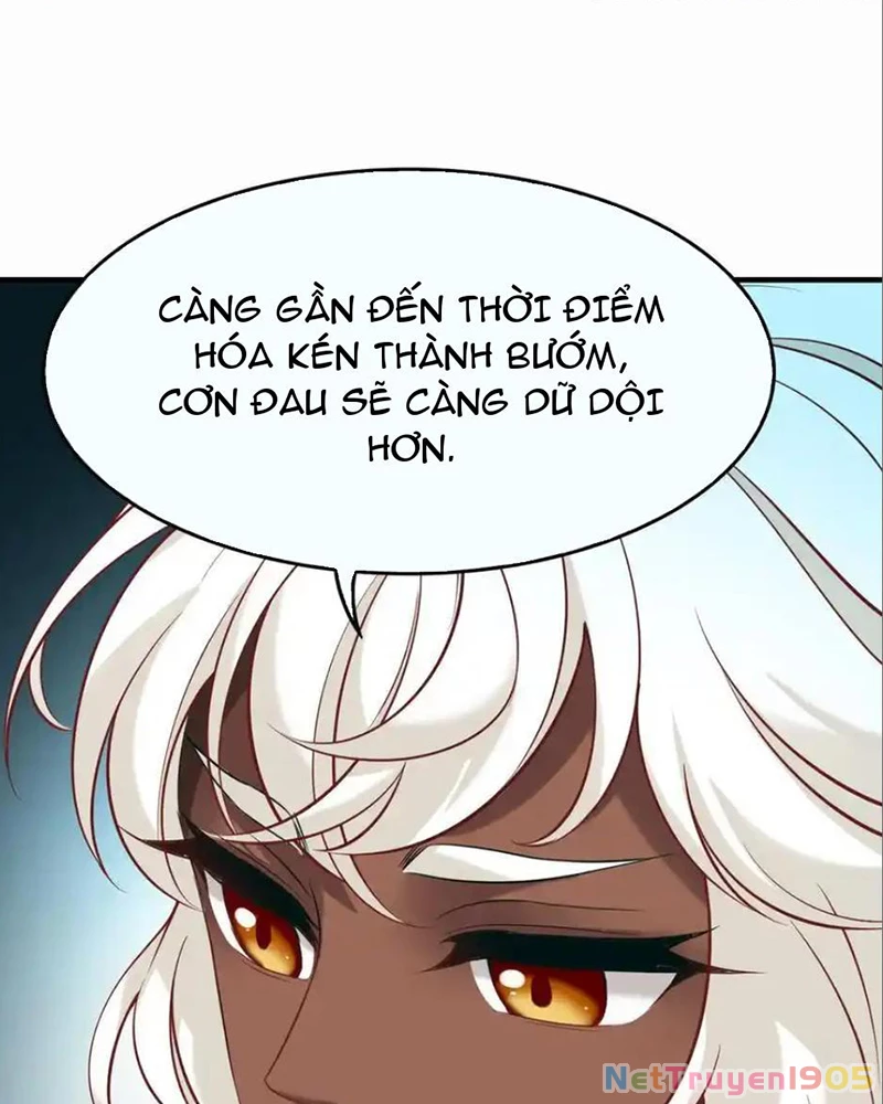 Phong Khởi Thương Lam Chapter 721 - 22