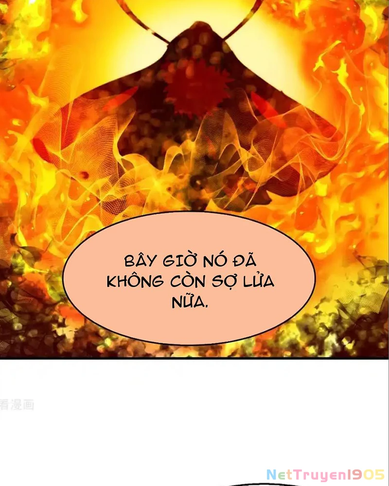 Phong Khởi Thương Lam Chapter 722 - 8