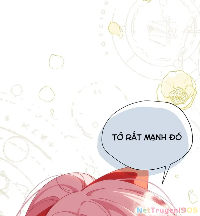 Xuyên thành phù thủy nuôi dưỡng kỵ sĩ thánh điện Chapter 74 - 6