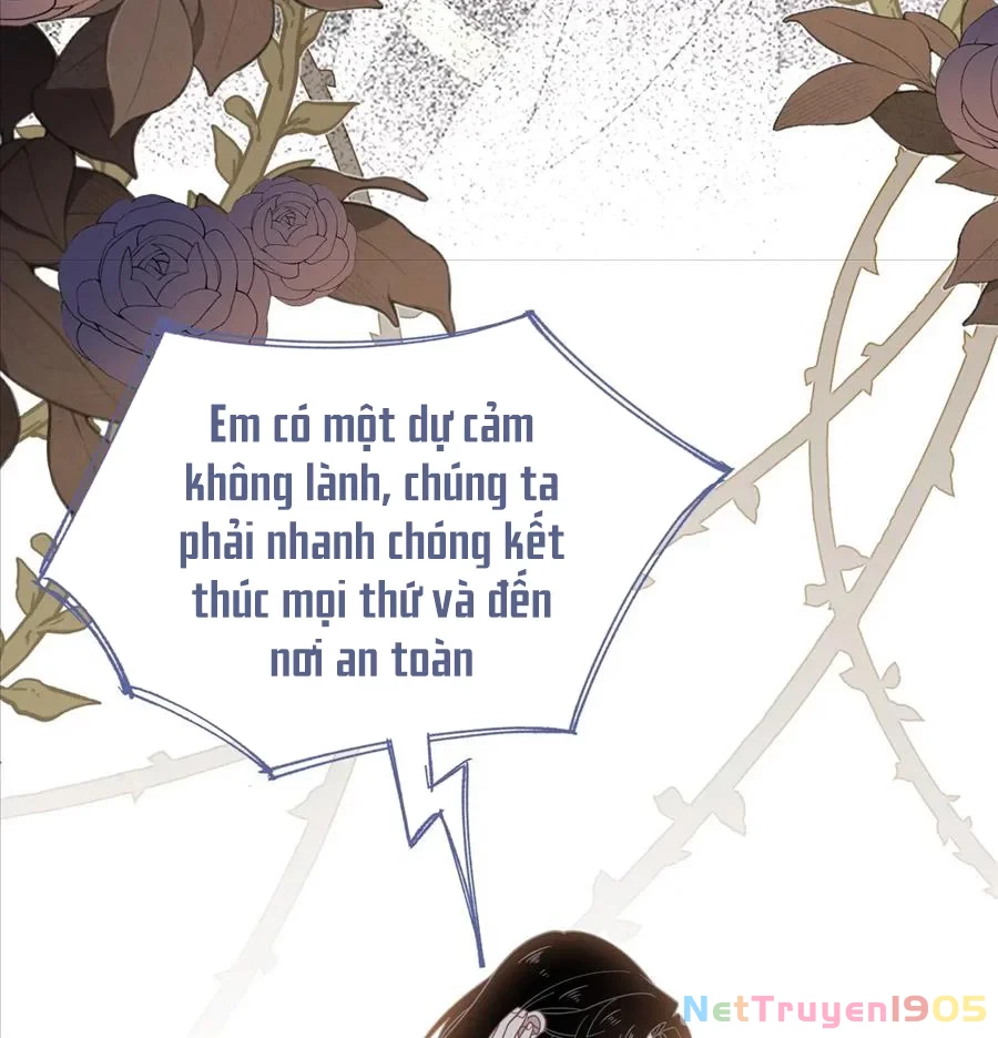 Xuyên thành phù thủy nuôi dưỡng kỵ sĩ thánh điện Chapter 75 - 49