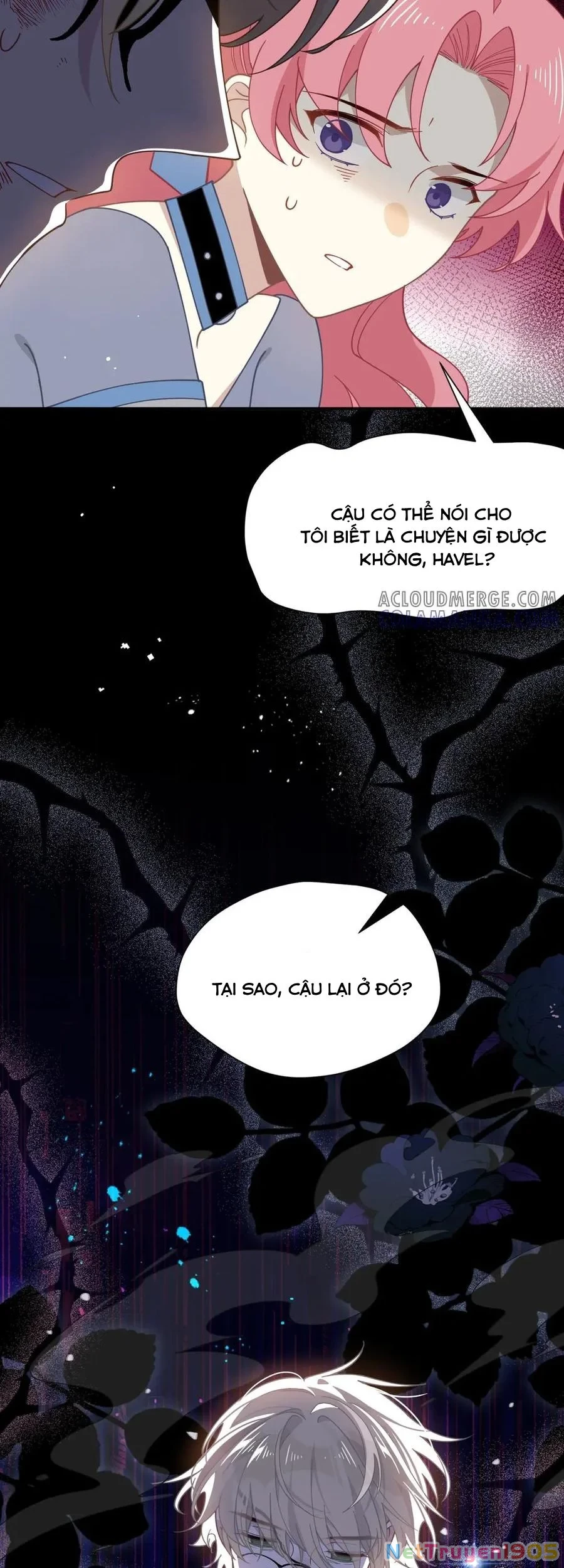 Xuyên thành phù thủy nuôi dưỡng kỵ sĩ thánh điện Chapter 76 - 8