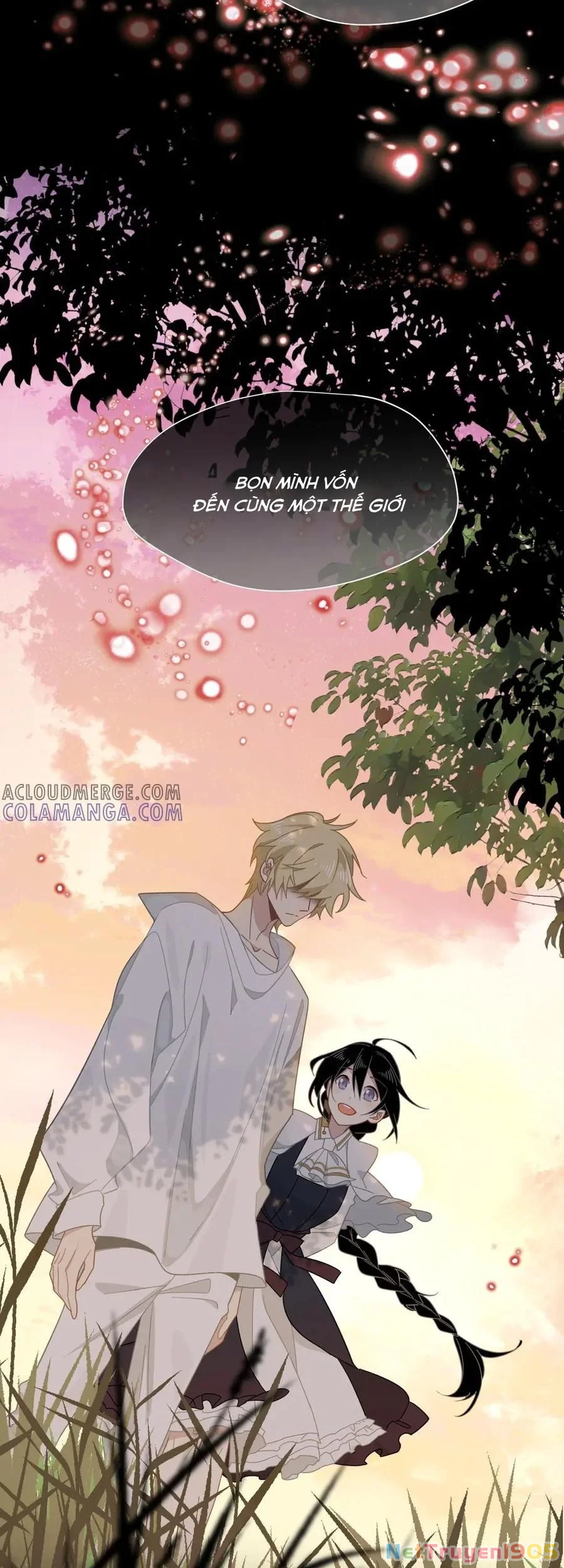 Xuyên thành phù thủy nuôi dưỡng kỵ sĩ thánh điện Chapter 76 - 15