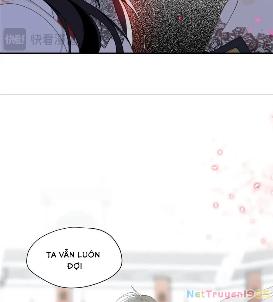 Xuyên thành phù thủy nuôi dưỡng kỵ sĩ thánh điện Chapter 77 - 37