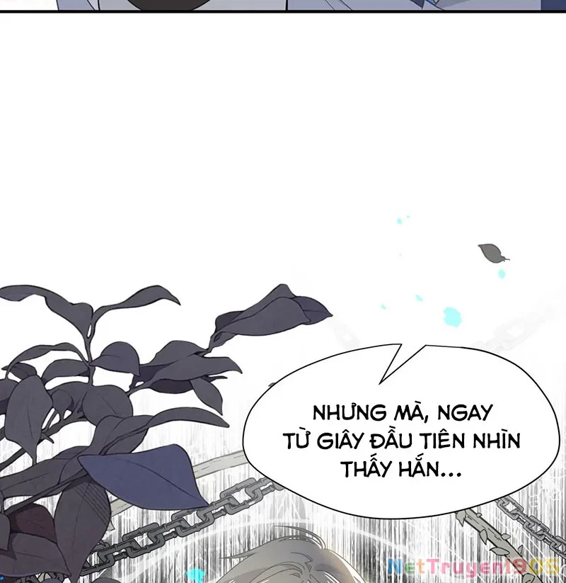 Xuyên thành phù thủy nuôi dưỡng kỵ sĩ thánh điện Chapter 78 - 9