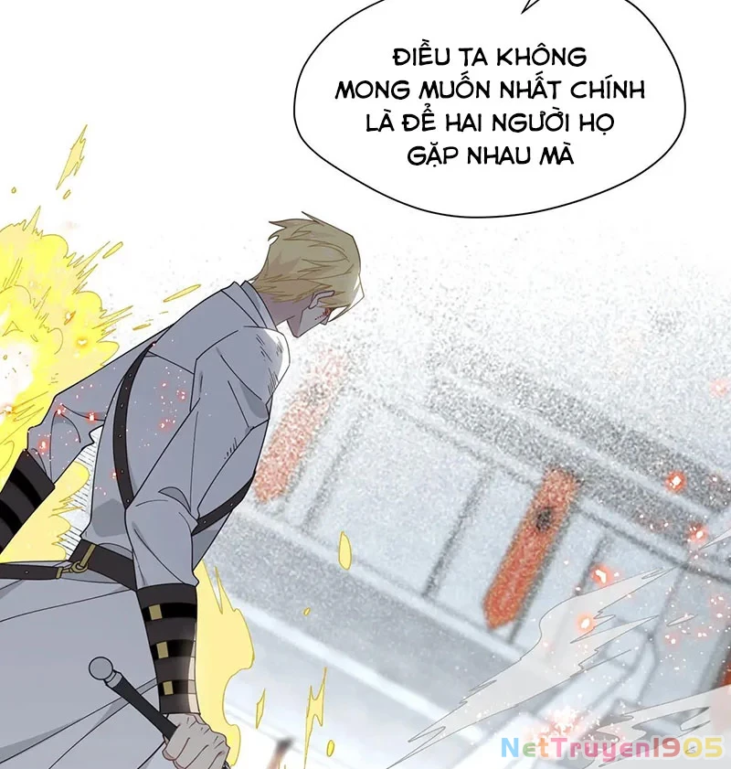 Xuyên thành phù thủy nuôi dưỡng kỵ sĩ thánh điện Chapter 78 - 17