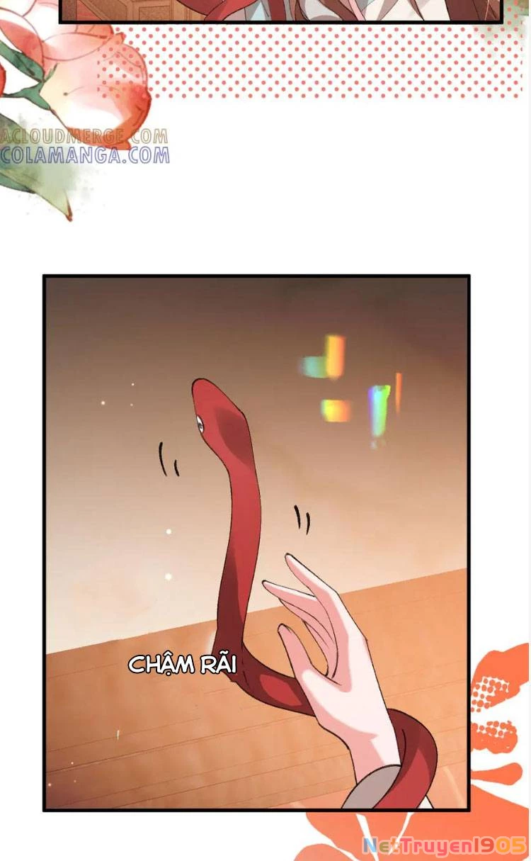 Cách Thức Sinh Tồn Của Pháo Hôi Khuê Nữ Chapter  377 - 21