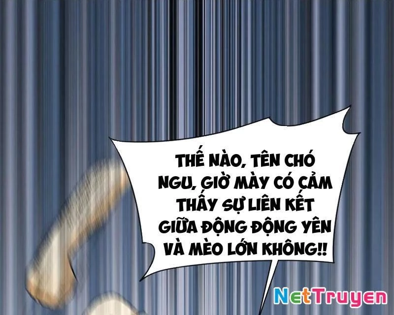 Trước mặt bệnh tâm thần, quỷ dị chẳng là gì cả Chapter 156 - 41