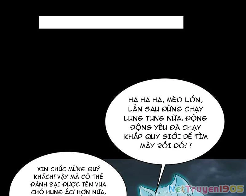 Trước mặt bệnh tâm thần, quỷ dị chẳng là gì cả Chapter 156 - 47