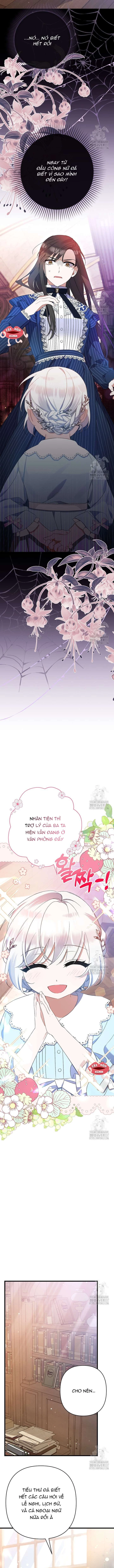 Tôi Chỉ Định Chăm Sóc Người Cha Ốm Yếu Của Mình Thôi Mà Chapter 8 - 5