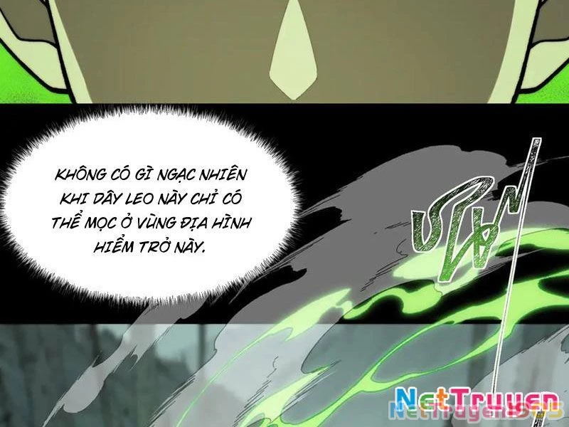 Sau Khi Chia Tay Hoa Khôi, Võ Đạo Của Ta Thẳng Tới Cấp Thần Chapter 14 - 6