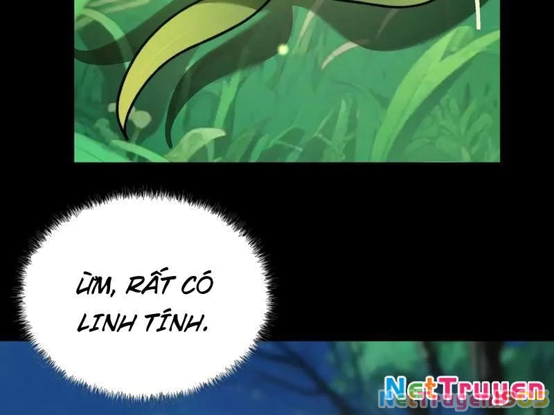 Sau Khi Chia Tay Hoa Khôi, Võ Đạo Của Ta Thẳng Tới Cấp Thần Chapter 14 - 121