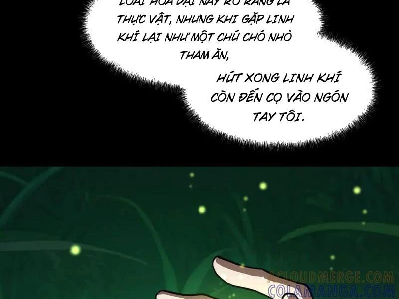 Sau Khi Chia Tay Hoa Khôi, Võ Đạo Của Ta Thẳng Tới Cấp Thần Chapter 14 - 124