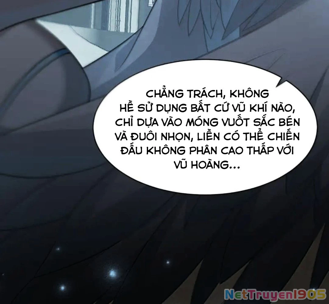 Vượt Cấp Xuyên Không, Tại Sao Tôi Lại Trở Thành Tiểu Thư Tu Sĩ? Chapter 50 - 45