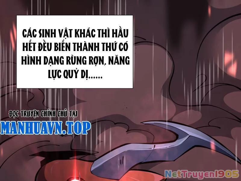 Tai Ách Giáng Lâm: Ta Tiến Hóa Thành Tinh Hồng Chi Vương Chapter 1 - 11