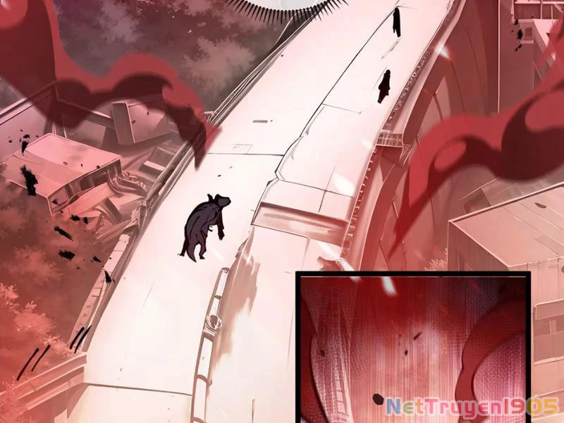 Tai Ách Giáng Lâm: Ta Tiến Hóa Thành Tinh Hồng Chi Vương Chapter 1 - 184