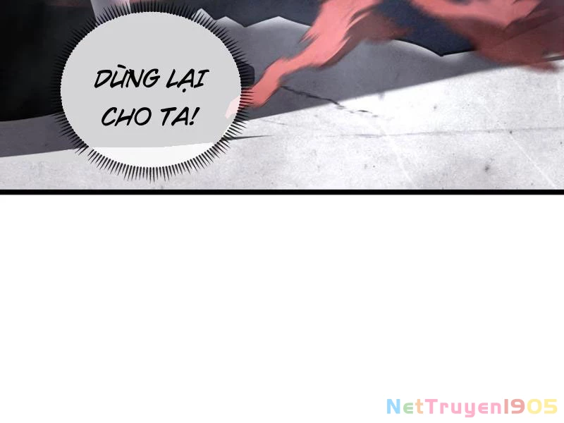 Tai Ách Giáng Lâm: Ta Tiến Hóa Thành Tinh Hồng Chi Vương Chapter 1 - 238
