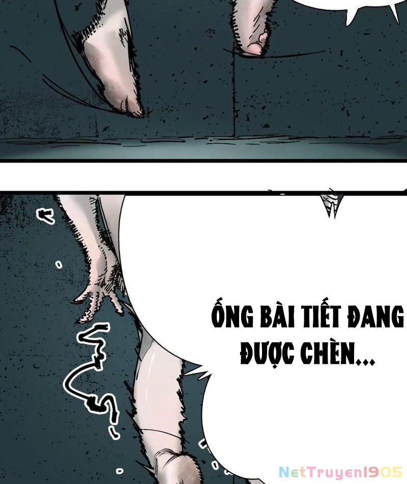 Thánh Huyết Chapter 1 - 23