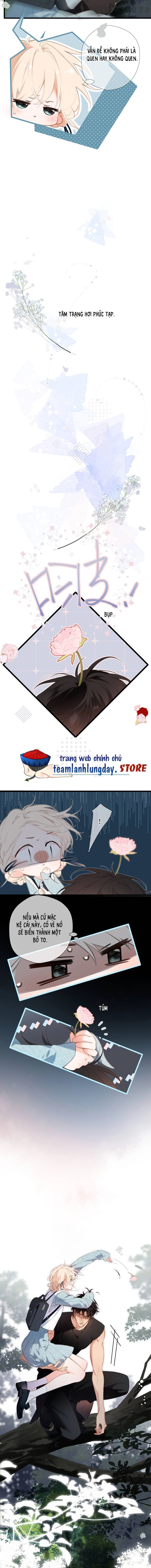 Ngược dòng về mùa xuân Chapter 50 - 2