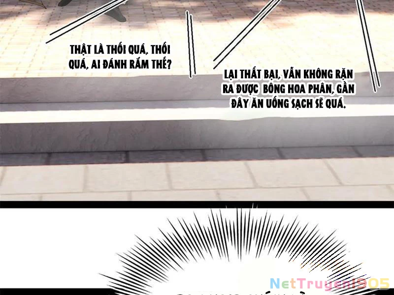 Chàng Rể Mạnh Nhất Lịch Sử Chapter 324 - 43