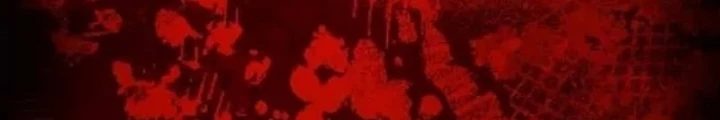 Mạo Hiểm Giả Carl Chapter 8 - 198