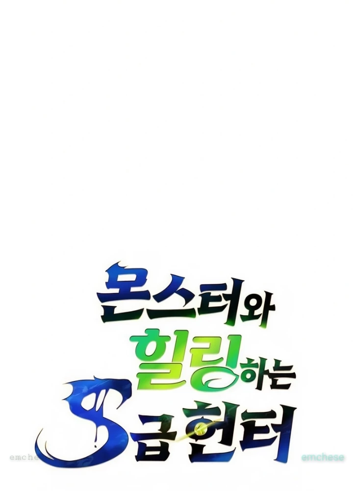 Healer Cấp S Chữa Trị Cho Quái Vật Chapter 10 - 41