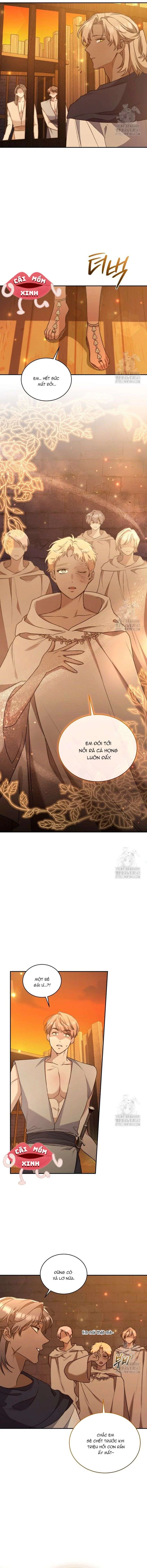 Khu Rừng Hoang Dã Chapter 37 - 10