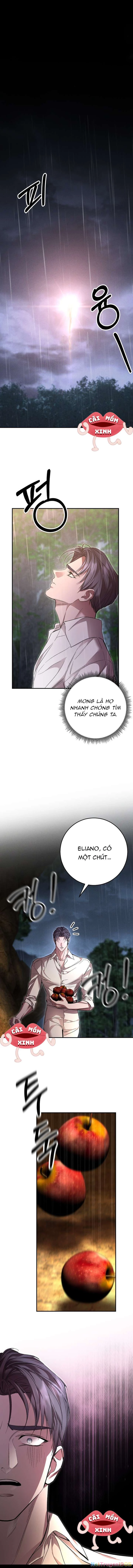 Cuộc Hôn Nhân Bị Bắt Cóc Xuyên Thời Gian Của Hoàng Hậu Chapter 32 - 12