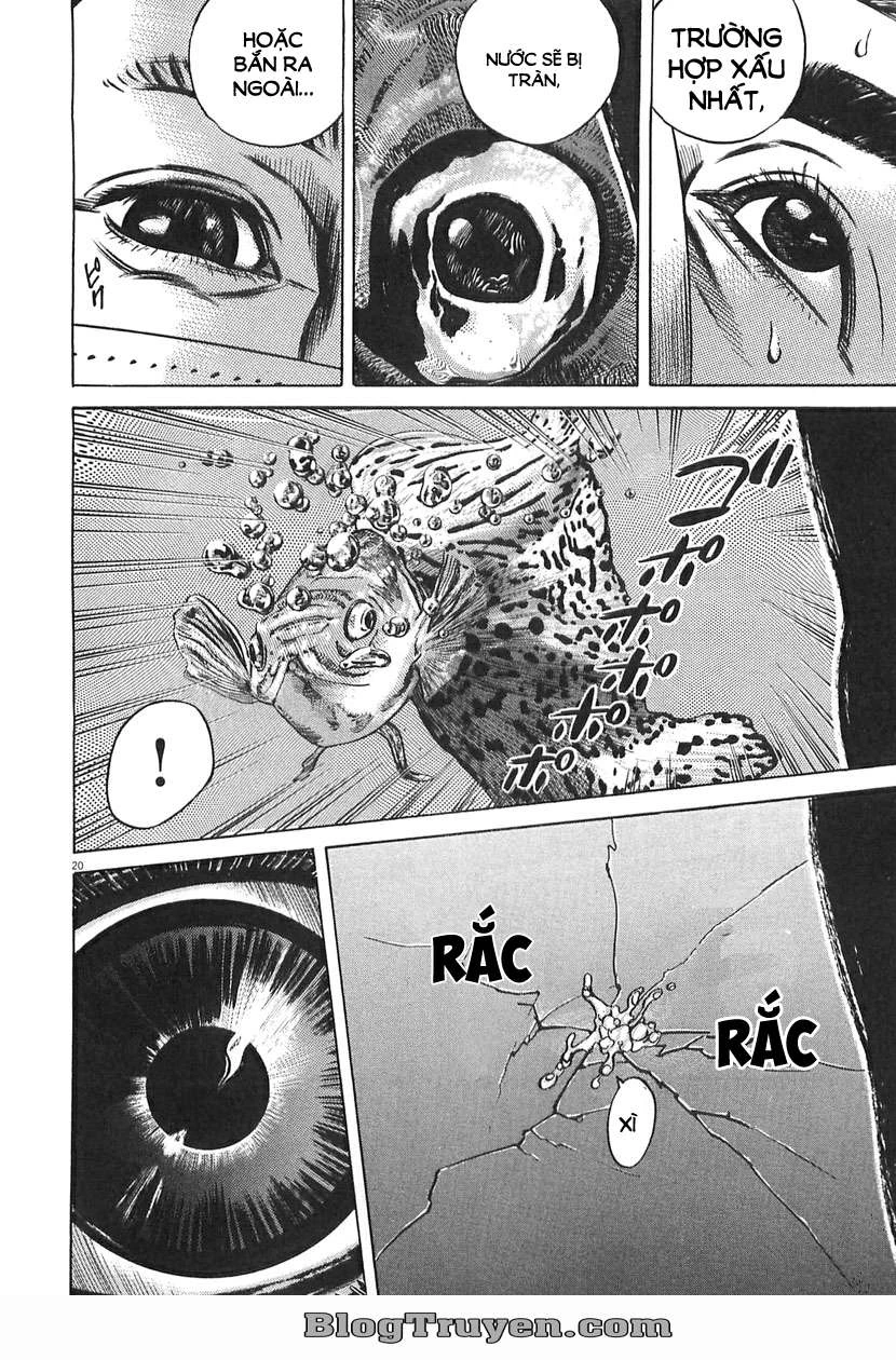 Homunculus Chapter 63 - 6