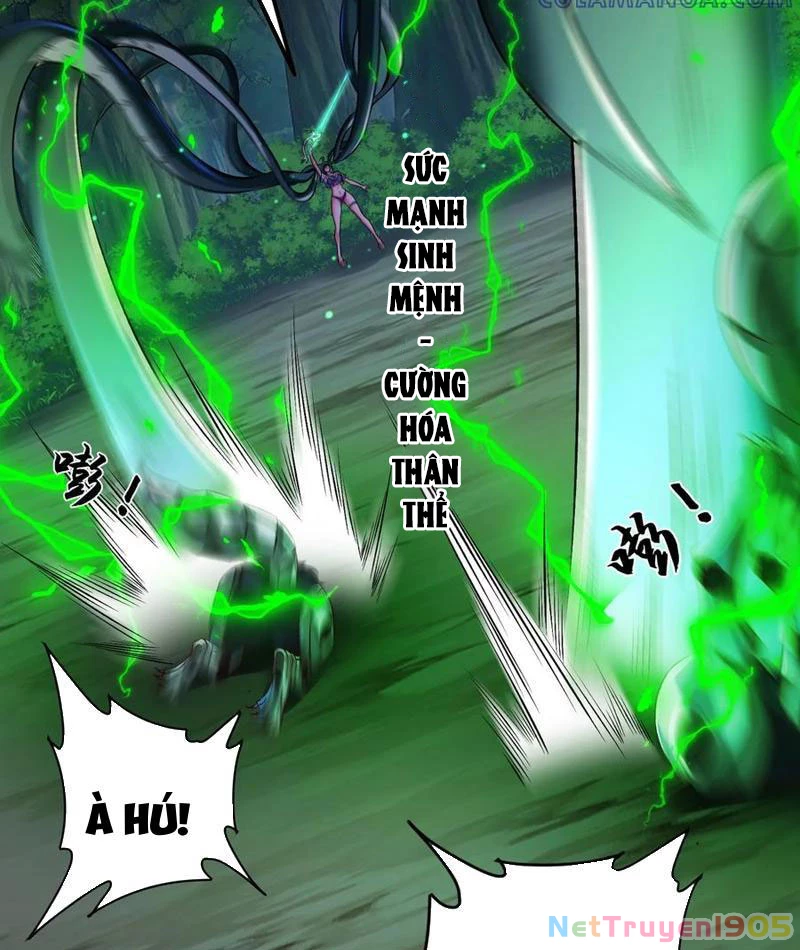 Tinh Thú Sư Mạnh Nhất Chapter 24 - 63