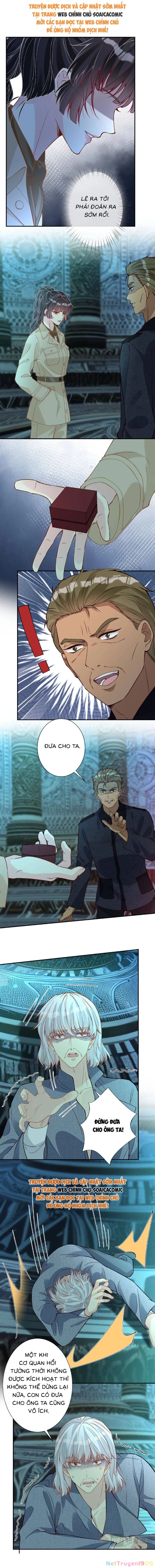 Ôm Khẩn Tiểu Mã Giáp Của Tôi Chapter 379 - 5