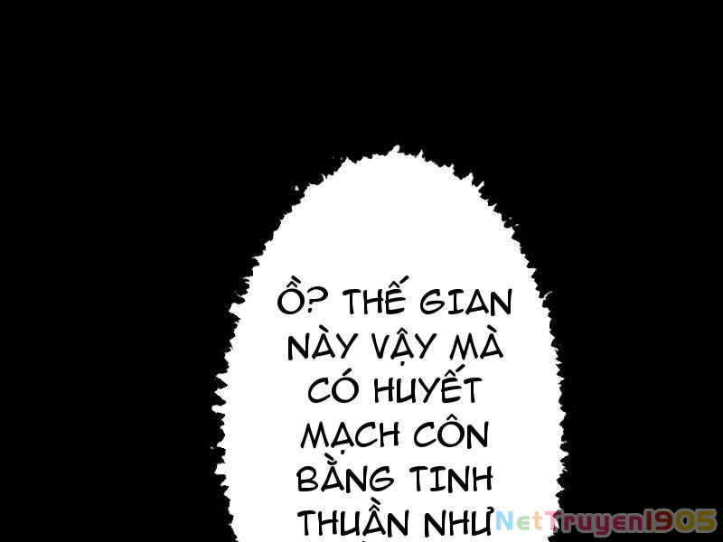 Gặp Mạnh Thì Mạnh, Ta Tu Vi Vô Thượng Hạn Chapter 70 - 24
