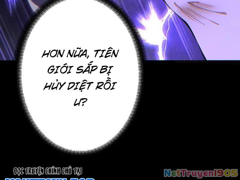 Gặp Mạnh Thì Mạnh, Ta Tu Vi Vô Thượng Hạn Chapter 70 - 52