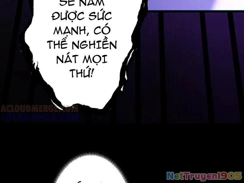 Gặp Mạnh Thì Mạnh, Ta Tu Vi Vô Thượng Hạn Chapter 70 - 70