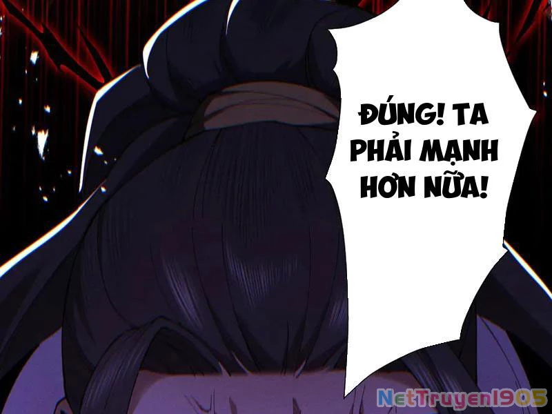 Gặp Mạnh Thì Mạnh, Ta Tu Vi Vô Thượng Hạn Chapter 70 - 73