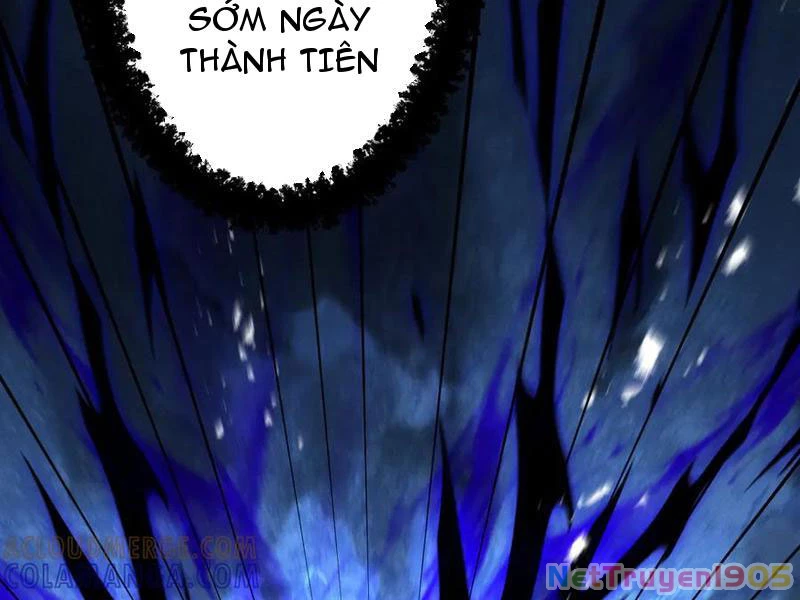 Gặp Mạnh Thì Mạnh, Ta Tu Vi Vô Thượng Hạn Chapter 70 - 78