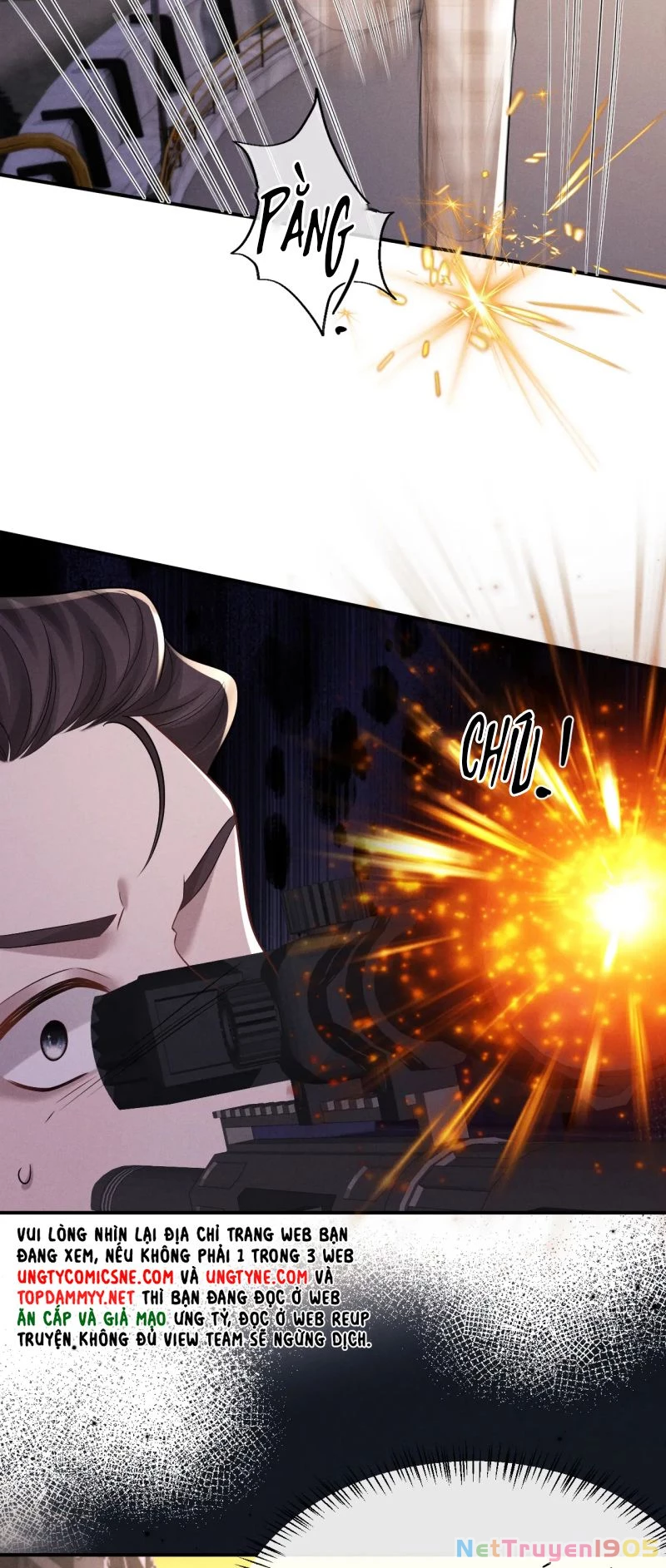 Chấp Sự Thỏ Cụp Tai Chapter 172 - 21