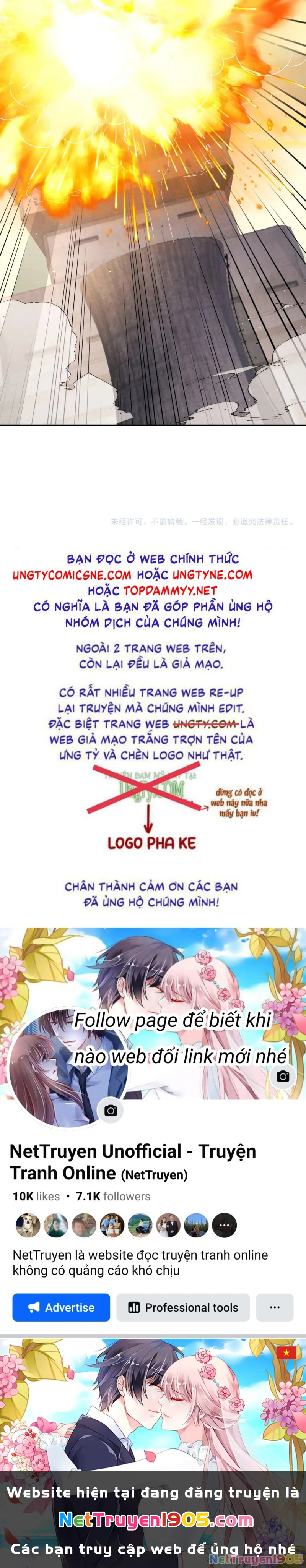 Chấp Sự Thỏ Cụp Tai Chapter 172 - 30