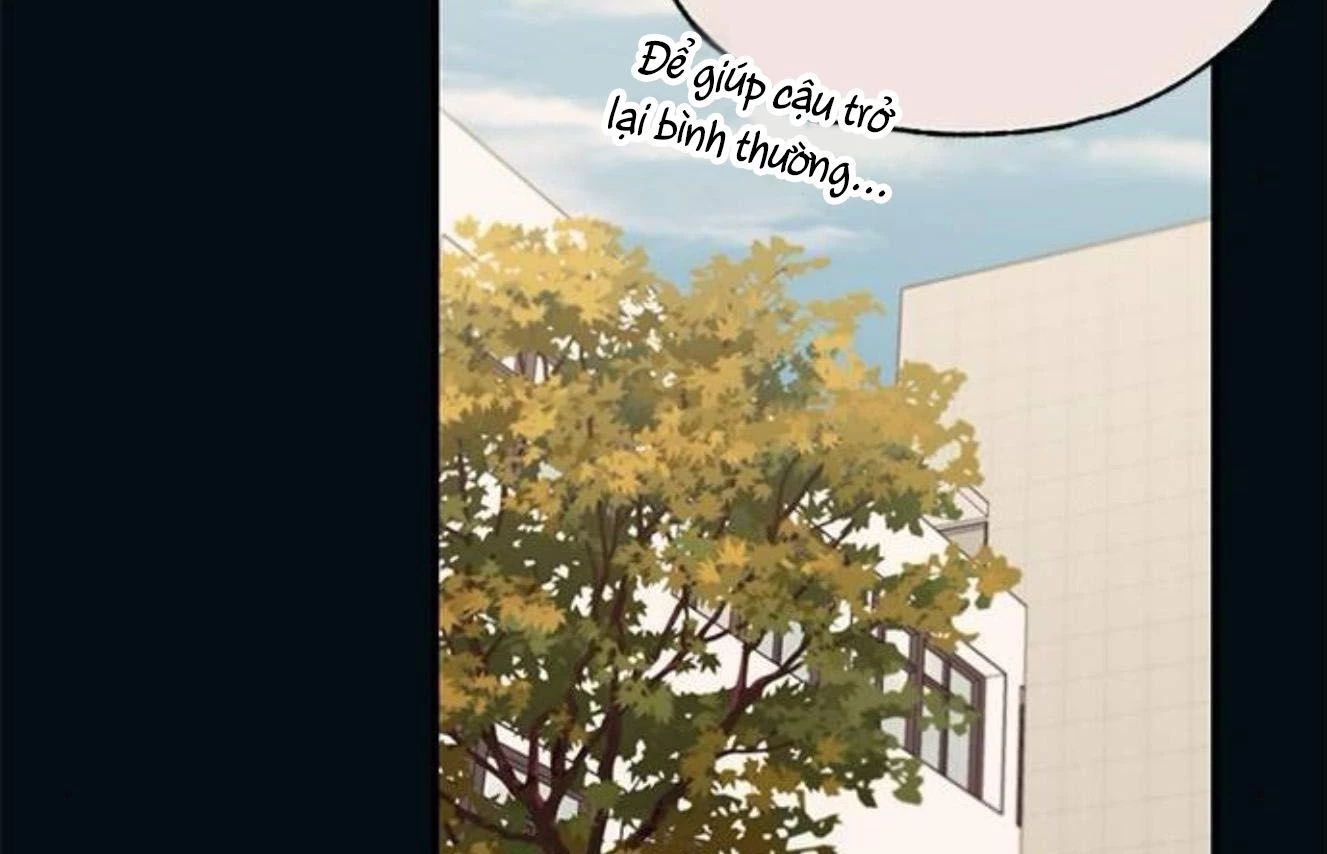 Sự ngây thơ của Yeon Woo Chapter 140 - 161
