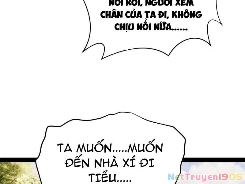 Chàng Rể Mạnh Nhất Lịch Sử Chapter 325 - 49