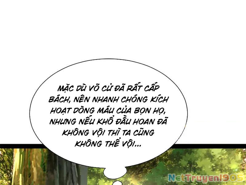 Chàng Rể Mạnh Nhất Lịch Sử Chapter 325 - 56