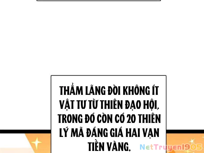 Chàng Rể Mạnh Nhất Lịch Sử Chapter 325 - 70