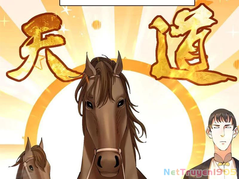 Chàng Rể Mạnh Nhất Lịch Sử Chapter 325 - 71