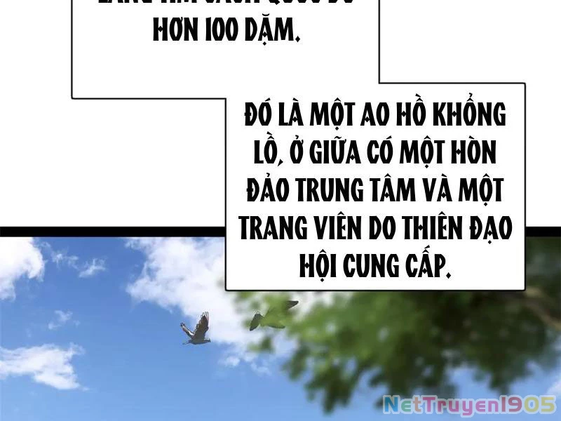 Chàng Rể Mạnh Nhất Lịch Sử Chapter 325 - 94