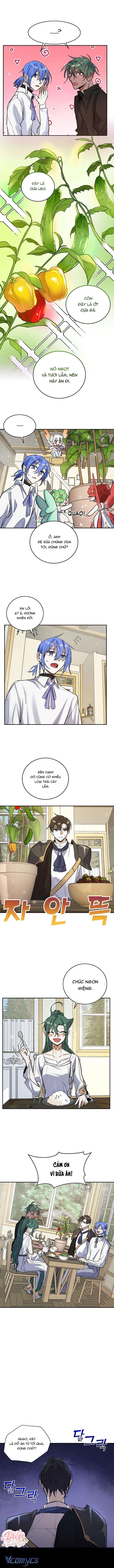 Phù Thủy Ẩm Thực Chapter 11 - 6