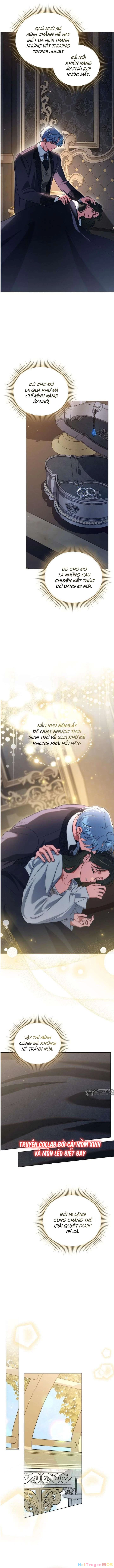 Dành Cho Nàng Juliet Xinh Đẹp Chapter 42 - 6